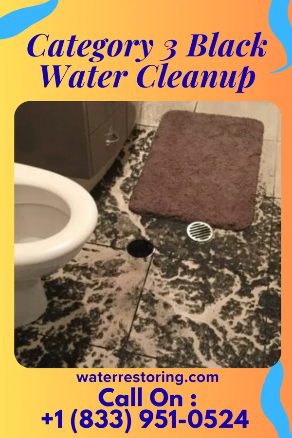 Category 3 Black Water Cleanup in Sutersville, PA