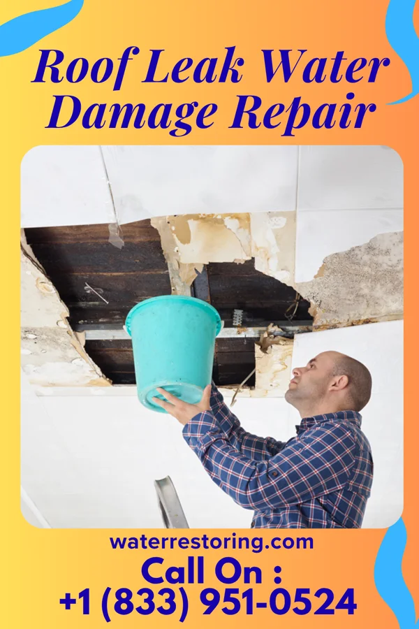 Roof Leak Water Damage Repair in Sutersville, PA