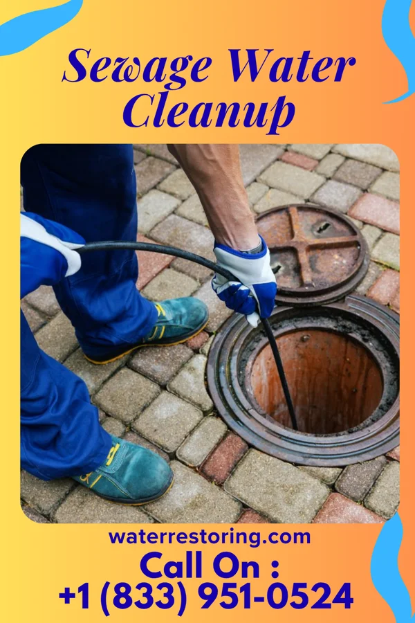 Sewage Water Cleanup in Sutersville, PA