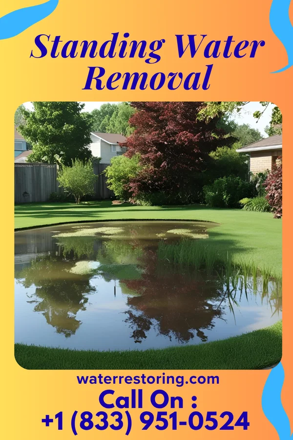 Standing Water Removal in Sutersville, PA